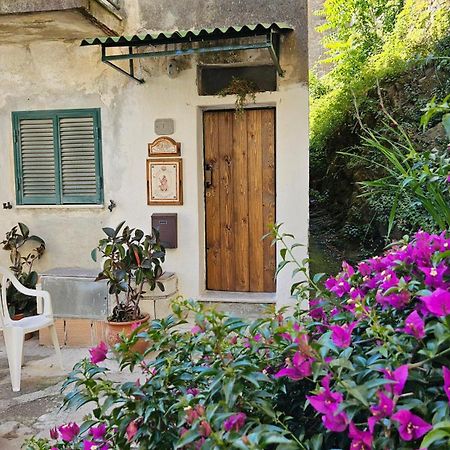 Appartamento Nel Borgo - Casa Del Pellegrino Sulla Via Francigena Aulla Exterior photo